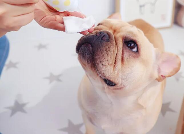 寵物用品進口報關(guān)關(guān)稅稅率（寵物用品進口關(guān)稅是多少？）