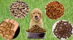 德國寵物食品進(jìn)口報(bào)關(guān)代理公司（寵物食品進(jìn)口要求）